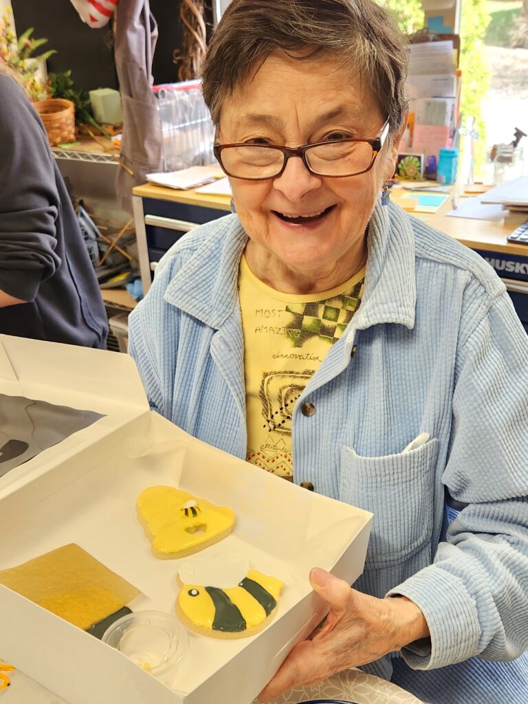 Person holding decorated cookies in box.